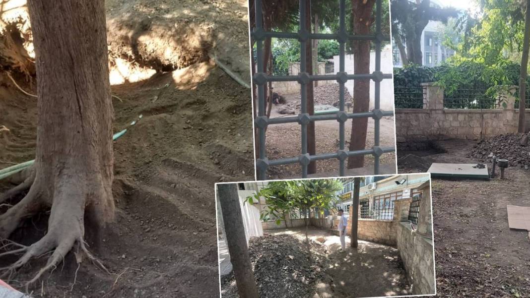 İstanbul'un göbeğinde güpegündüz kazı! Defineciler şehitliği talan etmiş 7